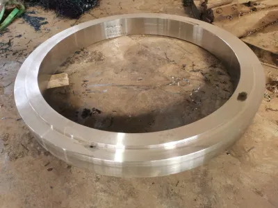 Bride faite sur commande de cou de soudure d'acier inoxydable de titane d'acier au carbone de pièces de valve
